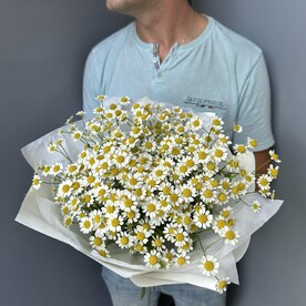 Букет из ромашек кустовых