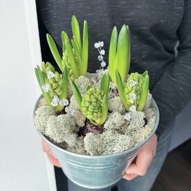 Весенняя композиция из первоцветов гиацинтов