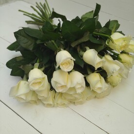 15 белых роз