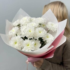 Свежий букет белых кустовых хризантем