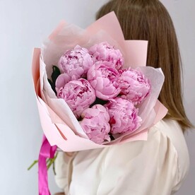 7 розовых нежных пиона Сара Бернар D034