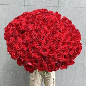101 красная роза Эквадор Арт. 043