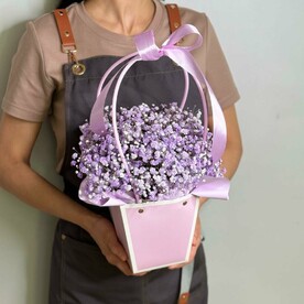 Гипсофила сиреневая в сумочке D003