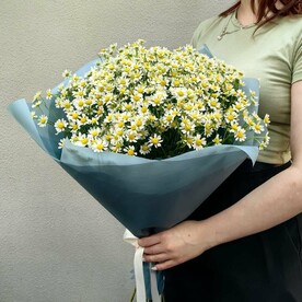 Полевой букет из 15 кустовых ромашек (матрикарий) (А004)