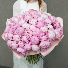 51 роскошный розовый пион Сара Бернар D032