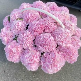 Гортензии в корзину