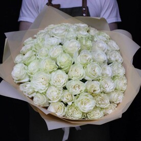 51 роза. Premium