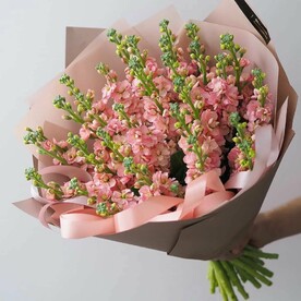 Принцесса сердца