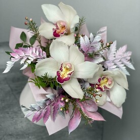 Орхидеи в коробке