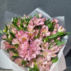 Букет из альстромерий 15 штук