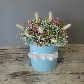 Большая коробка с гипсофилой