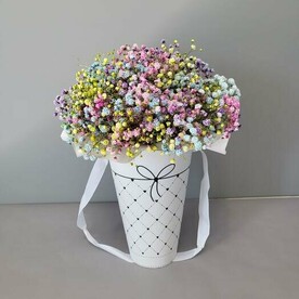 Гипсофила в коробке