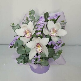 Орхидеи в коробке