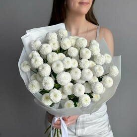 НЕжный букет кустовый белой хризантемы