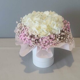 Шикарная гортензия в коробке