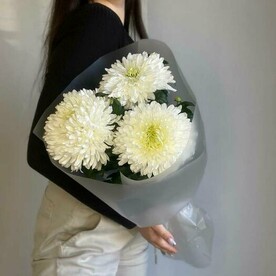 Букет из белых хризантем