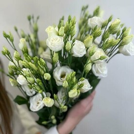 Букет из белой эустомы