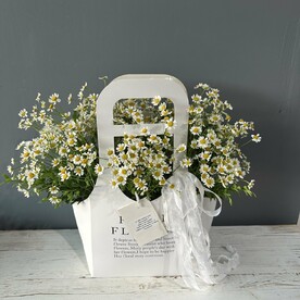 Стильная сумочка с нежными ромашками❤️😍