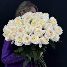 Роза конделайт