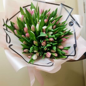 Тюльпаны 🌷 💖