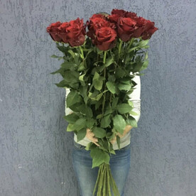 11 красных роз