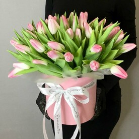 51 тюльпан в коробке