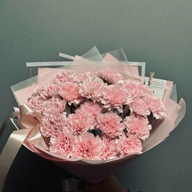 Розовые диантусы (гвоздика)15