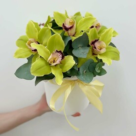 Орхидея в коробке