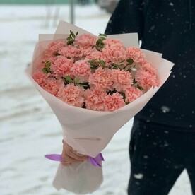 25 розовых гвоздик-диантус