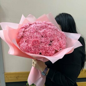 Диантус 51 штука