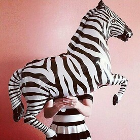 Воздушный шар зебра 107 см