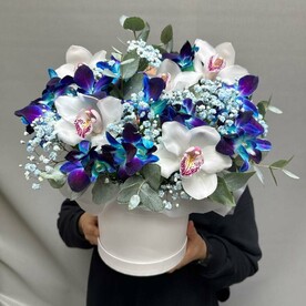 Космический букет орхидея, денробиум и гипсофила