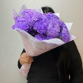 Хризантема фиолетовая кустовая