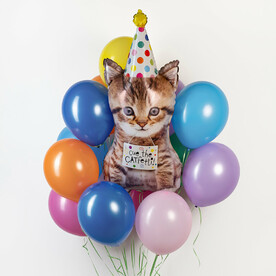 Воздушные шары котенок и 13 шаров