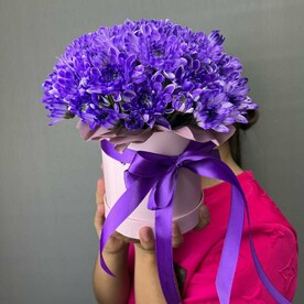 Хризантема фиолетовая кустовая в шляпной коробке