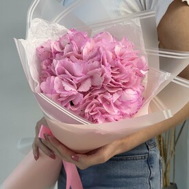 Розовая гортензия