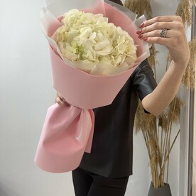 Белая гортензия