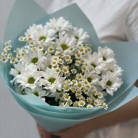 Милые ромашки