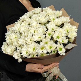 Хризантема ромашка 15шт