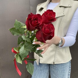 Роза Эквадор красная 3 шт