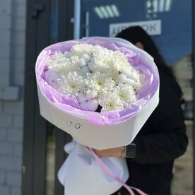 Хризантема с нежным хлопком