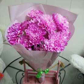 Нежная Хризантема