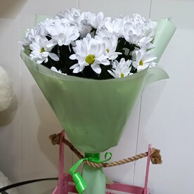 Хризантемы