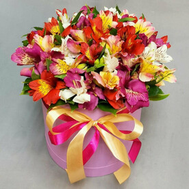 Букет из 15 альстромерий микс в коробке
