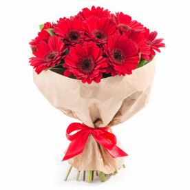 Букет из 11 красных гербер