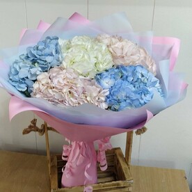 Букет из цветных Гортензий