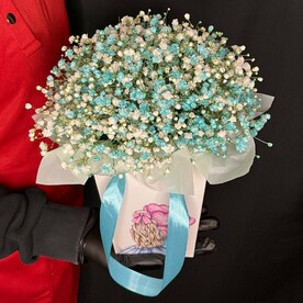 Гипсофила в сумочке