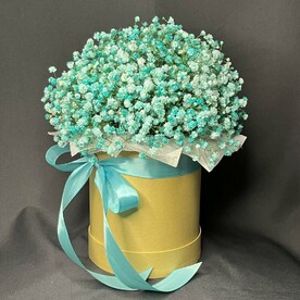 Гипсофила в коробке