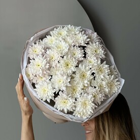 Монобукет из 7 кустовых хризантем