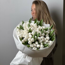 51 белоснежный тюльпан